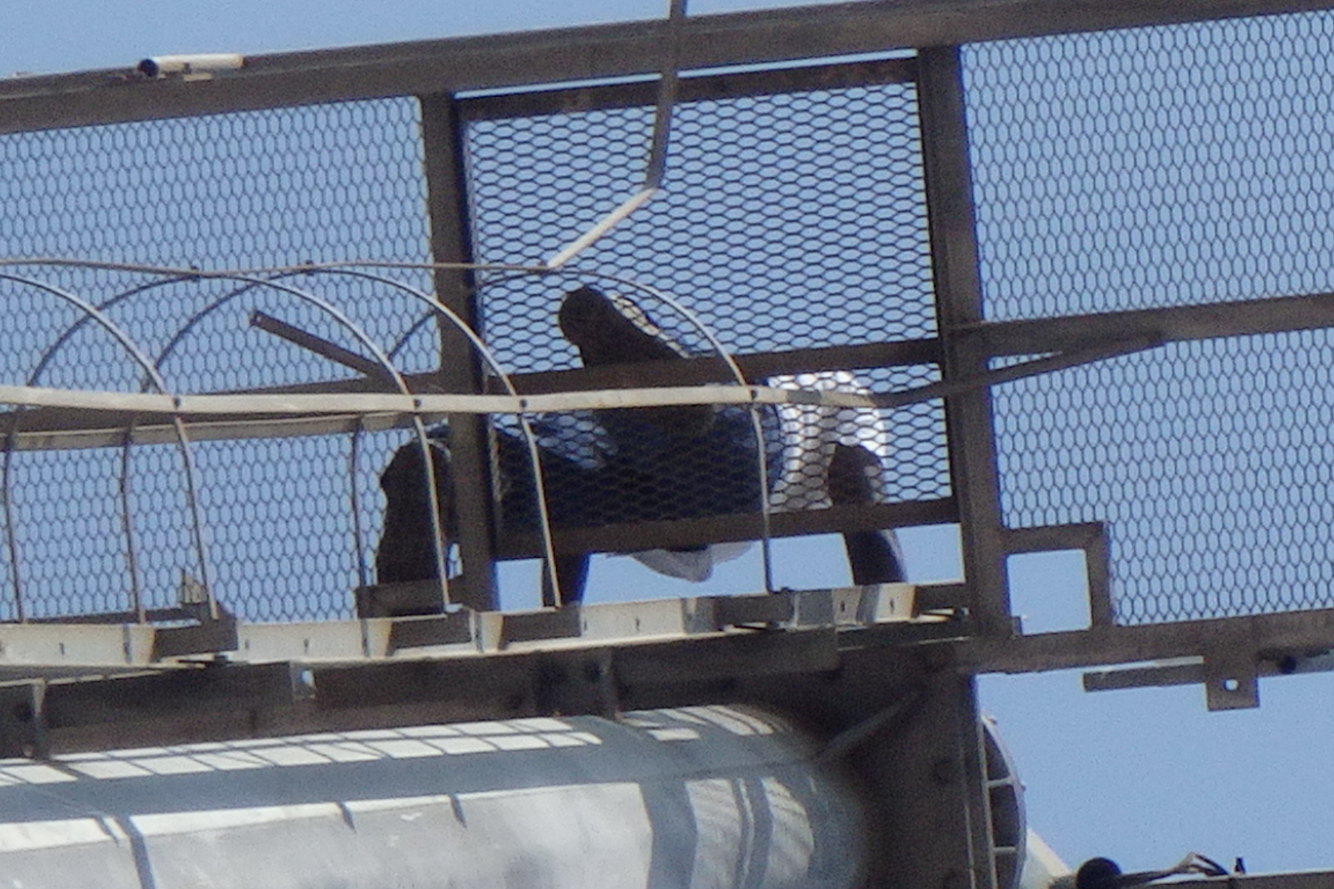 Higiene e segurança (2)